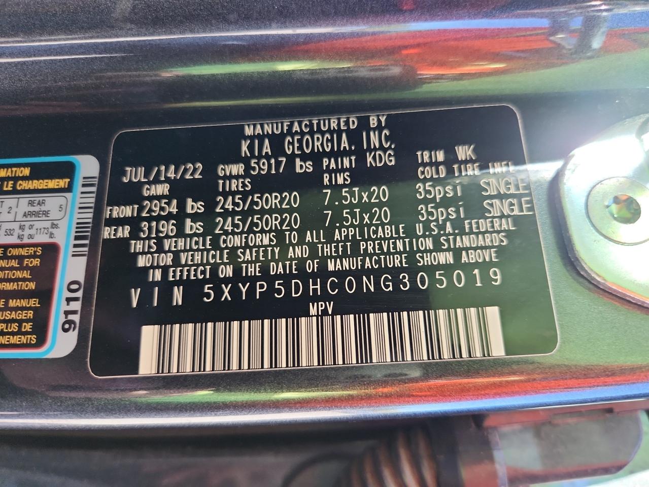 2022 Kia Telluride Sx VIN: 5XYP5DHC0NG305019 Lot: 82142895