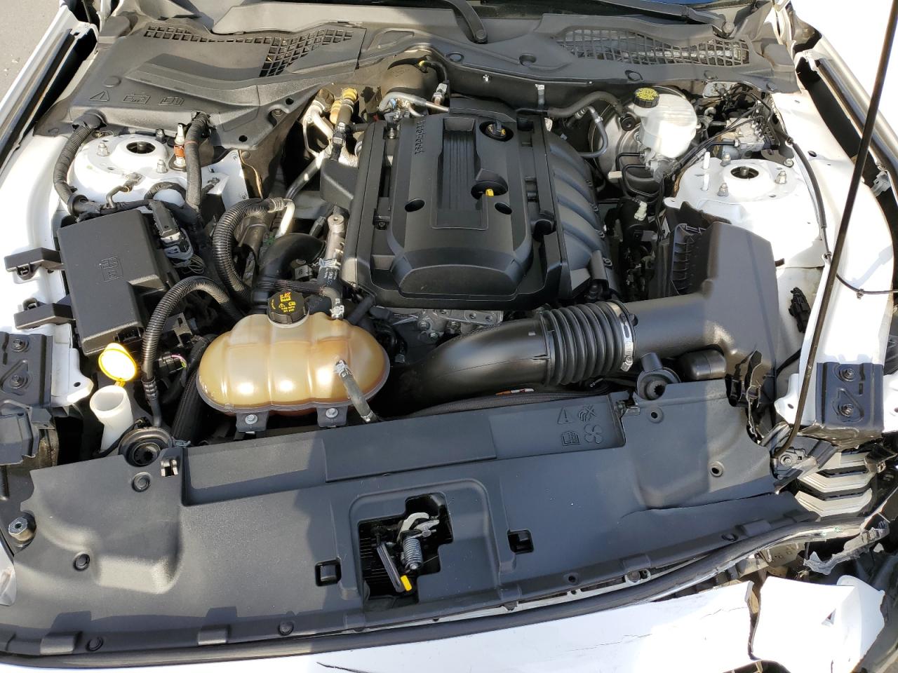 2018 Ford Mustang VIN: 1FA6P8TH1J5123743 Lot: 80029785