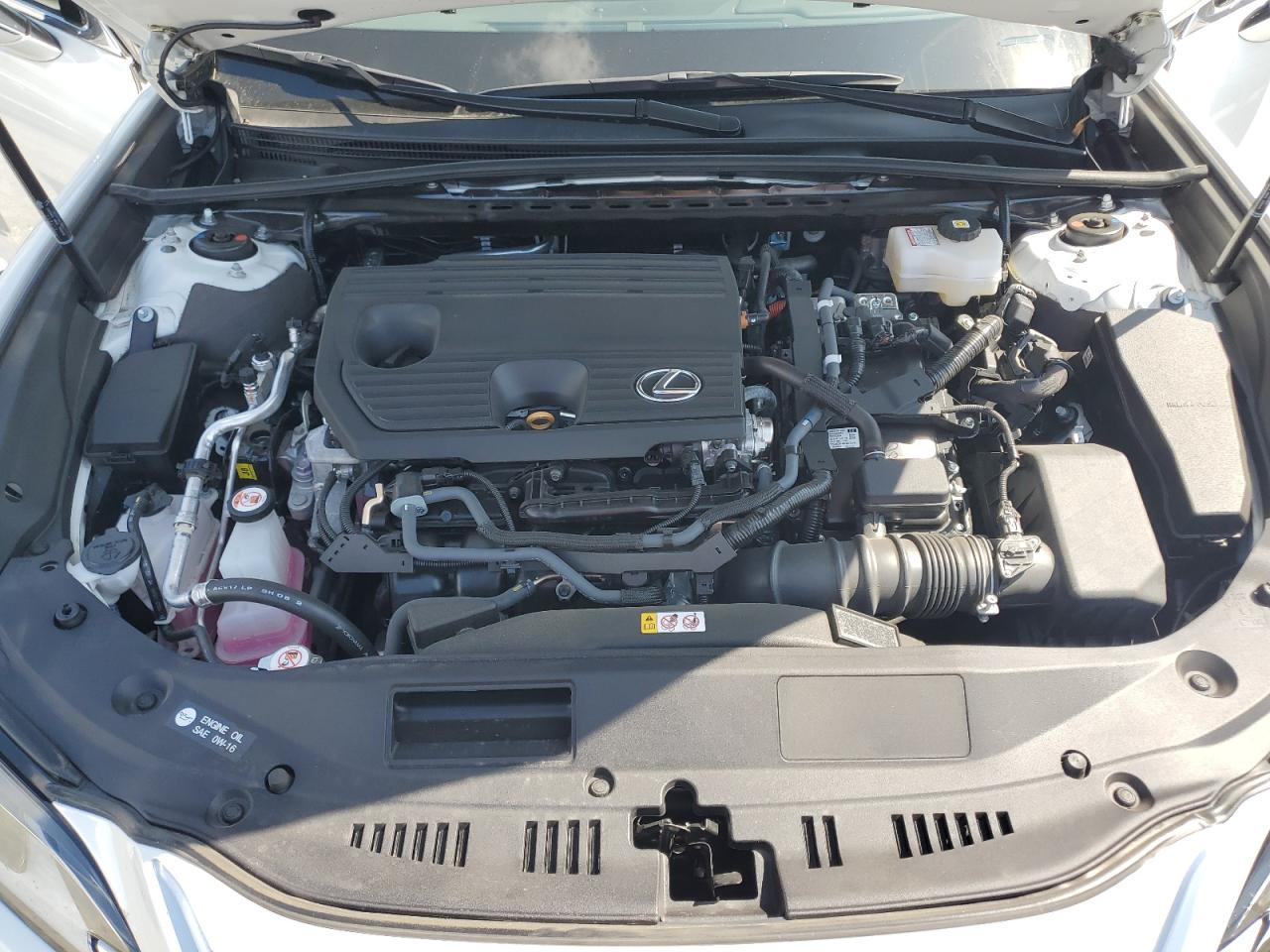 2025 Lexus Es 300H Base VIN: 58ADA1C18SU063324 Lot: 81646695