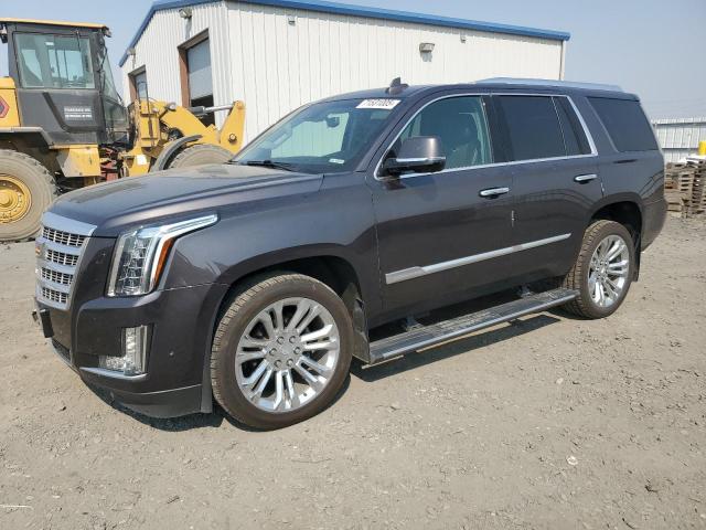  CADILLAC ESCALADE 2018 Угольный