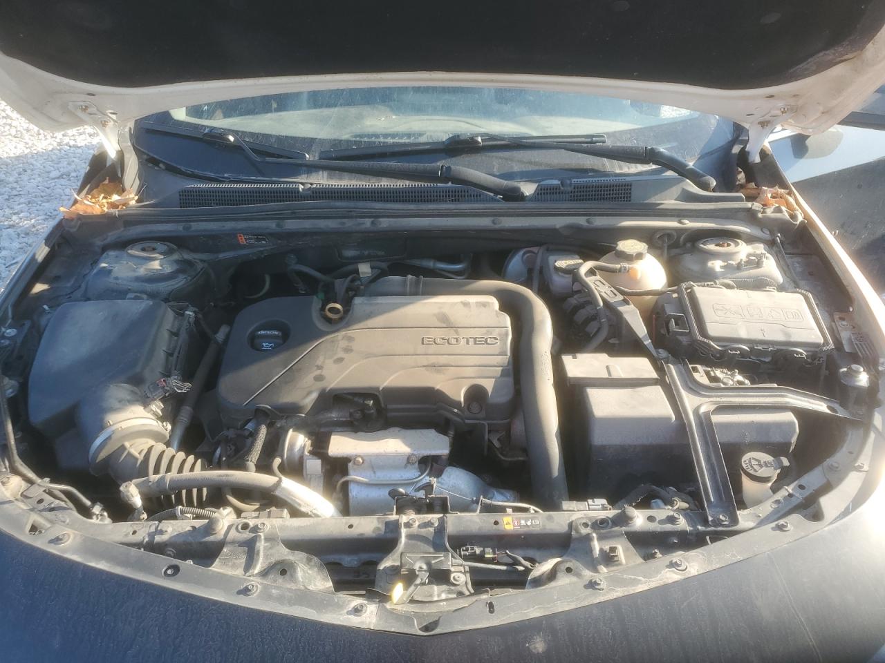 2019 Chevrolet Malibu Lt VIN: 1G1ZD5ST9KF121926 Lot: 82069325