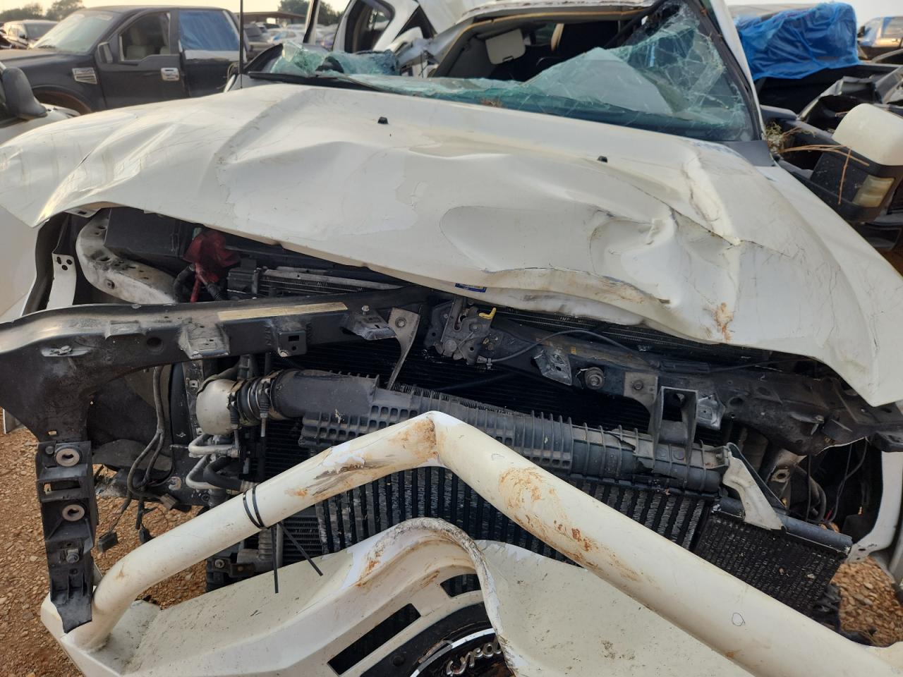 2008 Ford F250 Super Duty VIN: 1FTSW21R18EB17617 Lot: 81056025