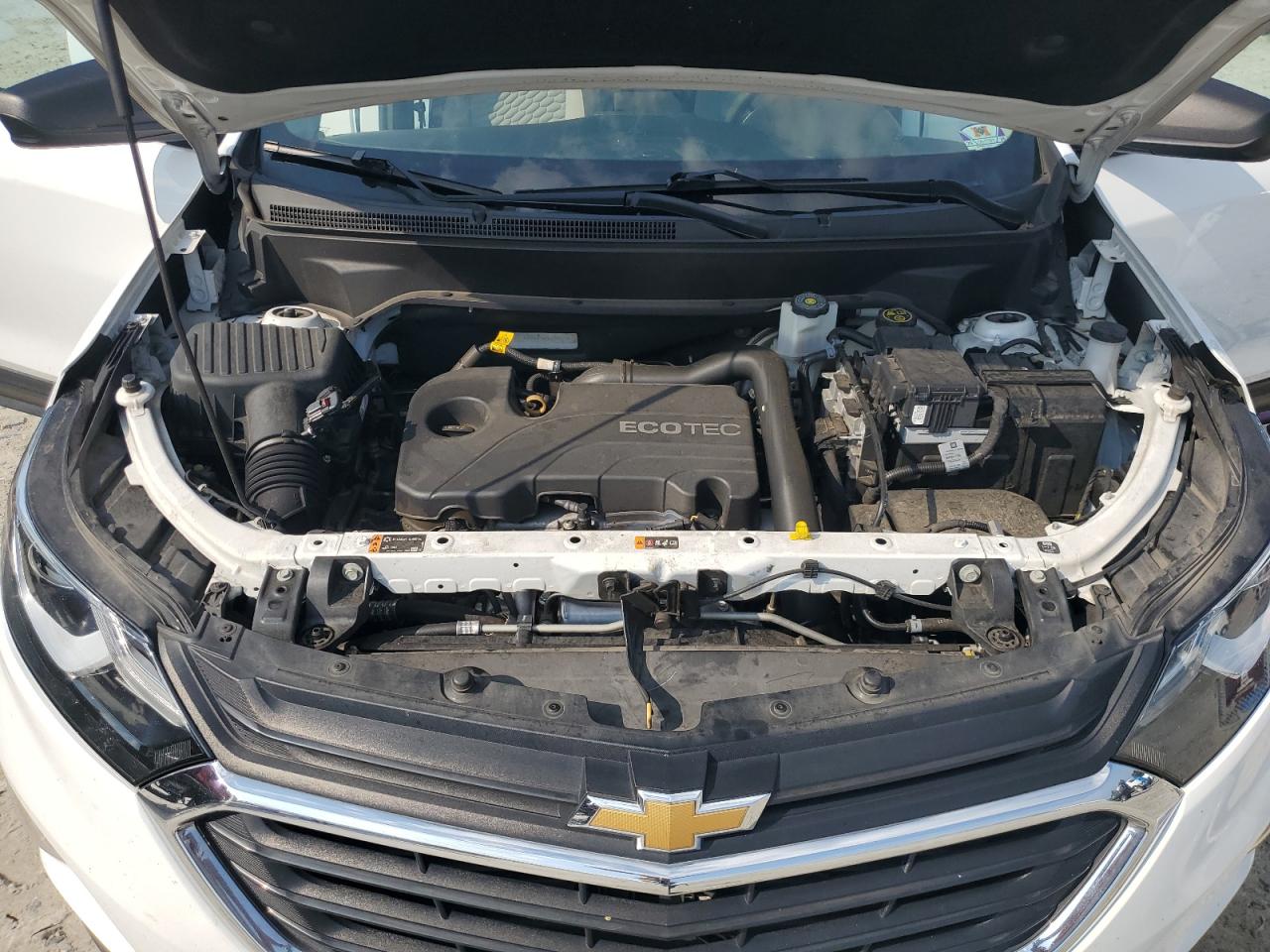 2020 Chevrolet Equinox VIN: 2GNAXFEV6L6241670 Lot: 81007455