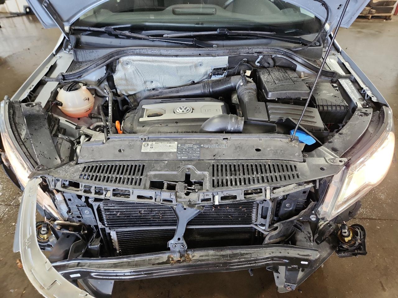 2009 Volkswagen Tiguan Se VIN: WVGBV75N19W524920 Lot: 81632655