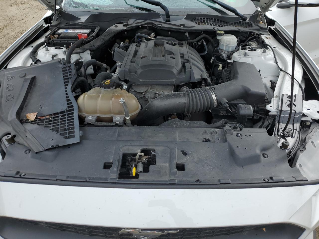 2019 Ford Mustang VIN: 1FA6P8TH2K5186464 Lot: 80819665