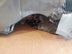 2024 NISSAN PRIMASTAR TEKNA + DCI AUT  for sale at Copart BRISTOL