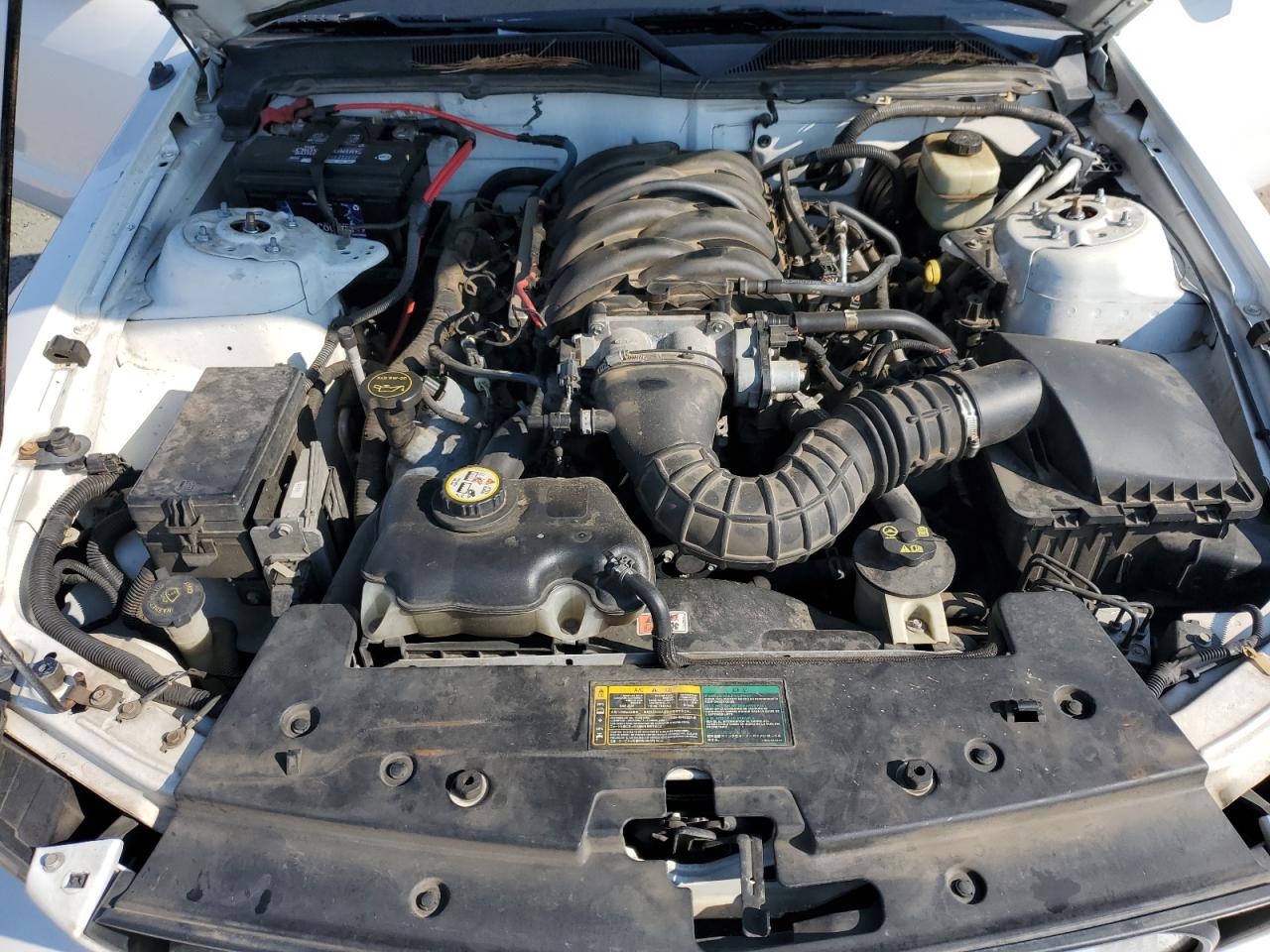 2006 Ford Mustang Gt VIN: 1ZVHT82H565227270 Lot: 80458175