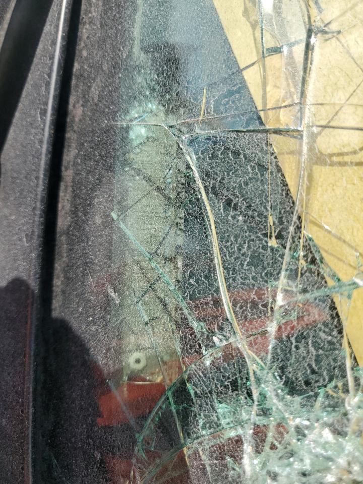 1996 Chevrolet Gmt-400 C1500 VIN: 1GCEC14R8TZ127459 Lot: 80196875