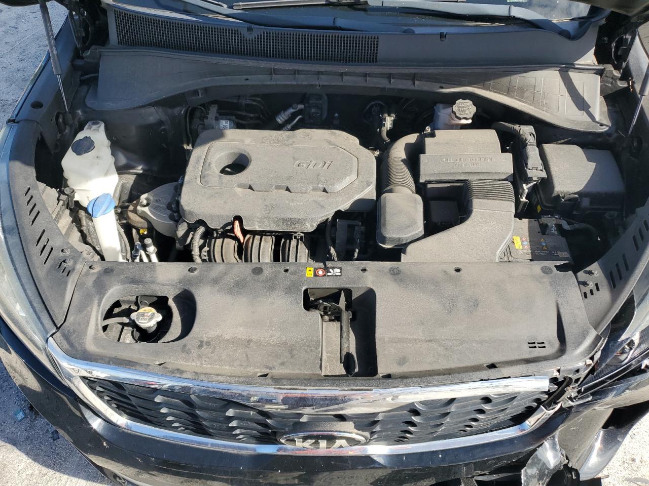 2019 Kia Sorento L VIN: 5XYPG4A31KG586313 Lot: 81122275