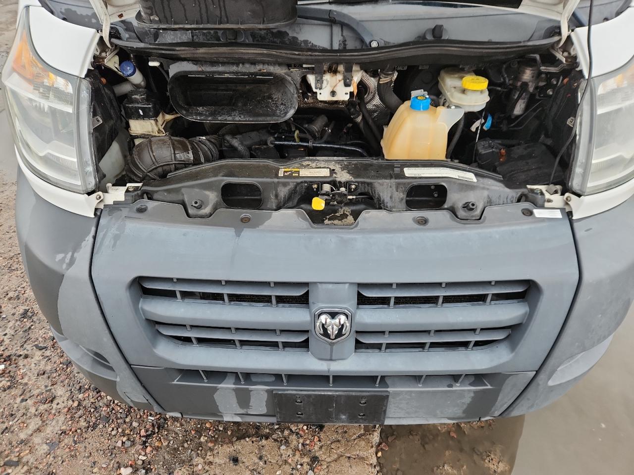 2014 Ram Promaster 1500 1500 Standard VIN: 3C6TRVNG4EE116040 Lot: 81692855