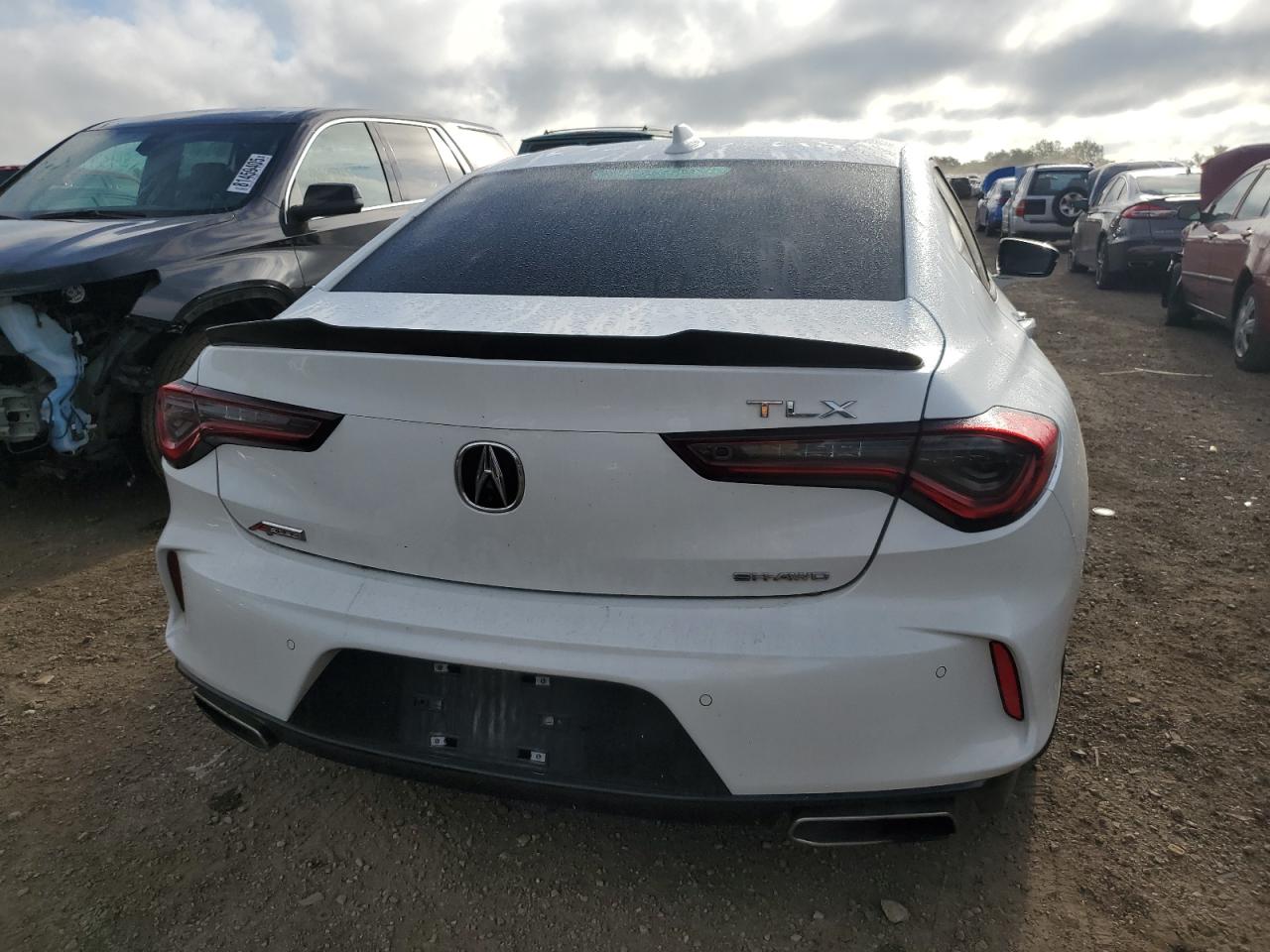 2023 Acura Tlx A-Spec VIN: 19UUB6F52PA001335 Lot: 82164535