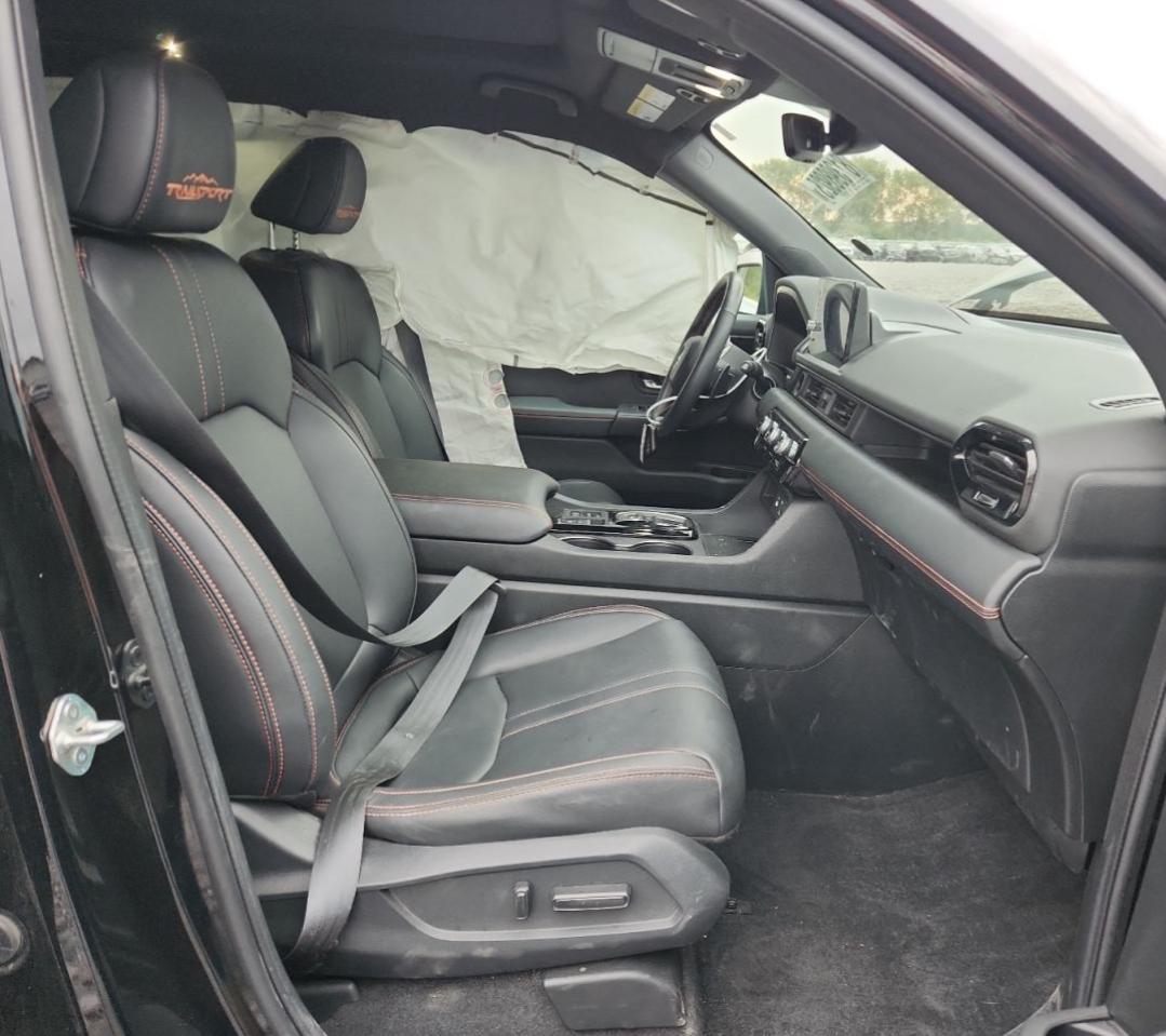 2023 Honda Pilot Trailsport VIN: 5FNYG1H64PB046004 Lot: 81398925