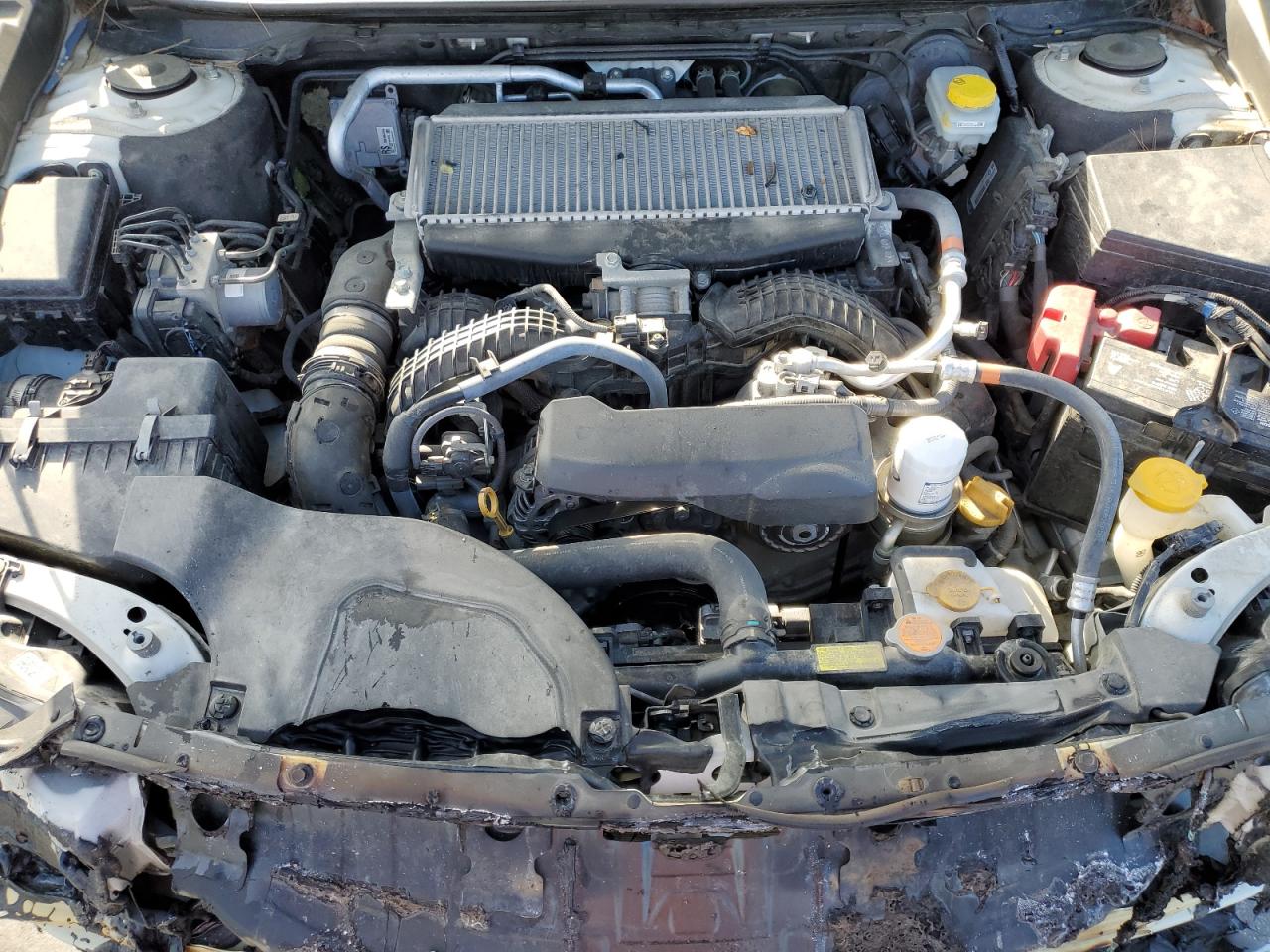 2023 Subaru Outback Wilderness VIN: 4S4BTGUD9P3112001 Lot: 80350255