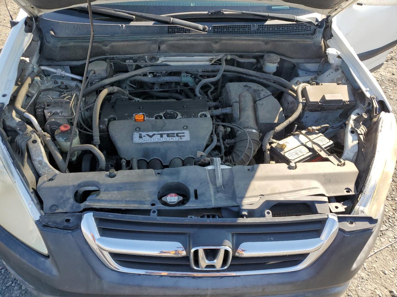 2004 Honda Cr-V Ex VIN: JHLRD78884C005145 Lot: 81692985