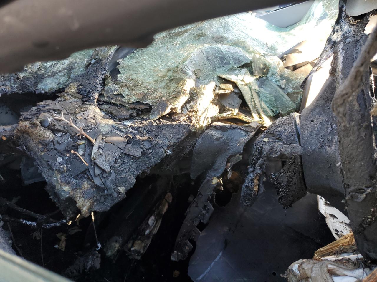 2025 Tesla Model Y VIN: 7SAYGDEE4SF289613 Lot: 81263555