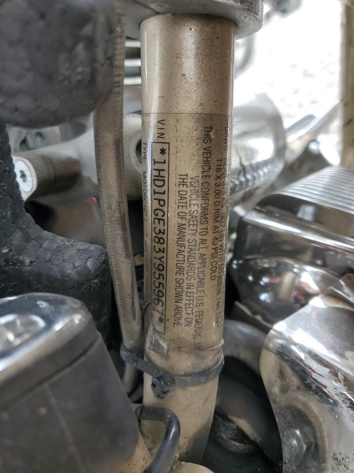 2003 Harley-Davidson Flhrsei1 VIN: 1HD1PGE383Y955967 Lot: 81987365