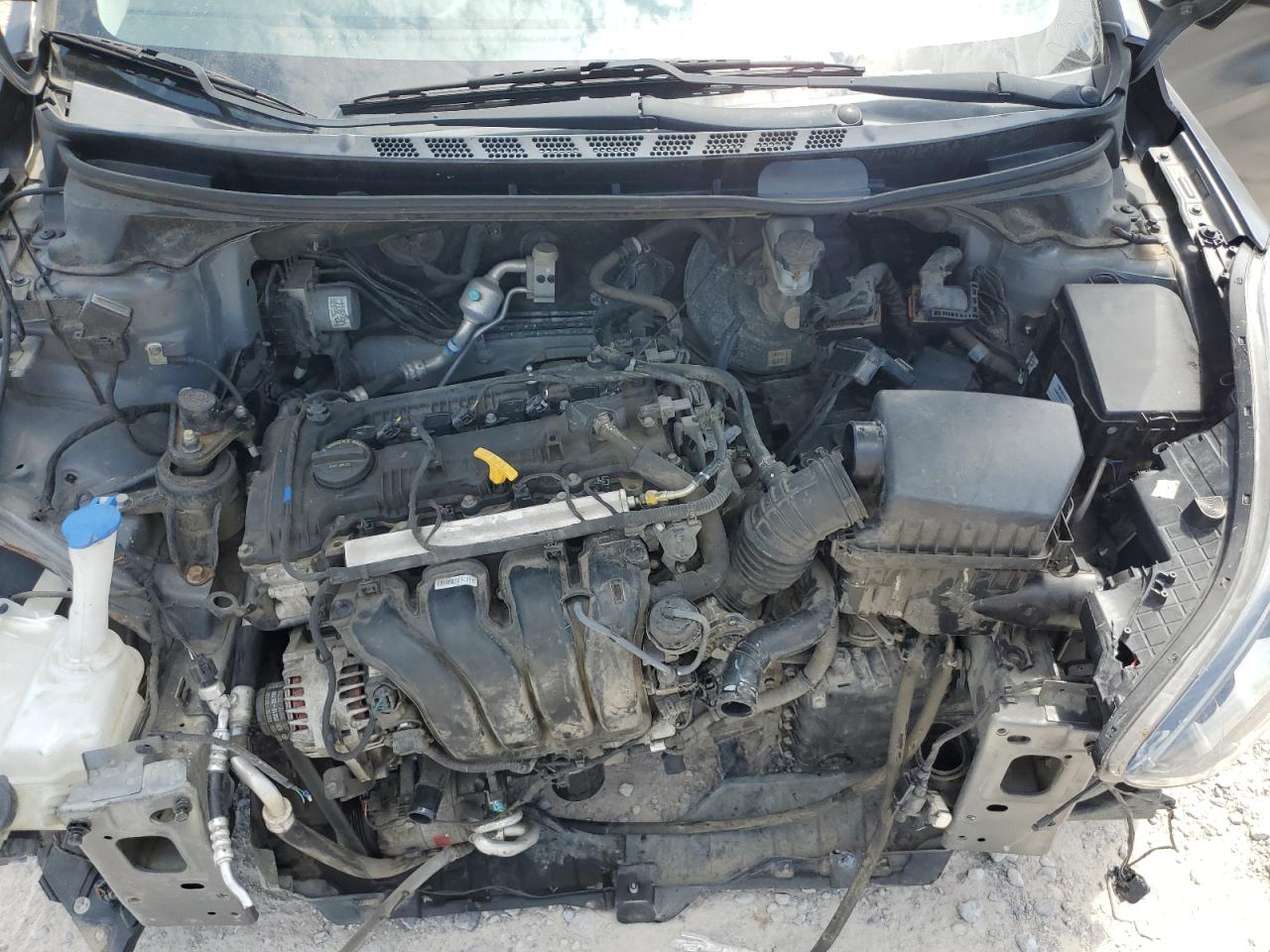 2013 Hyundai Elantra Gls VIN: 5NPDH4AE4DH216955 Lot: 80035205