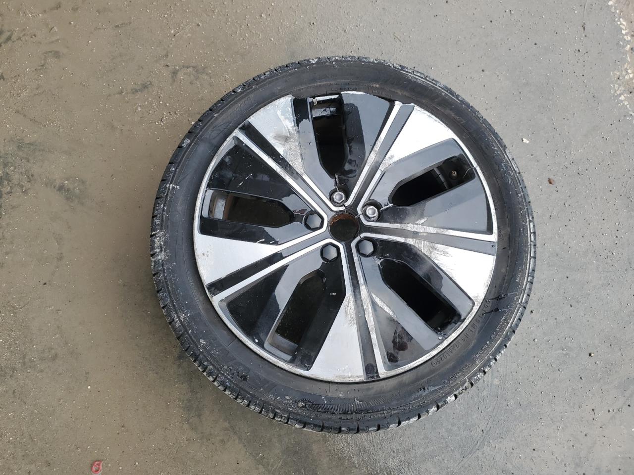 2024 Polestar 2 VIN: YSMFD3KA0RL212709 Lot: 83939345