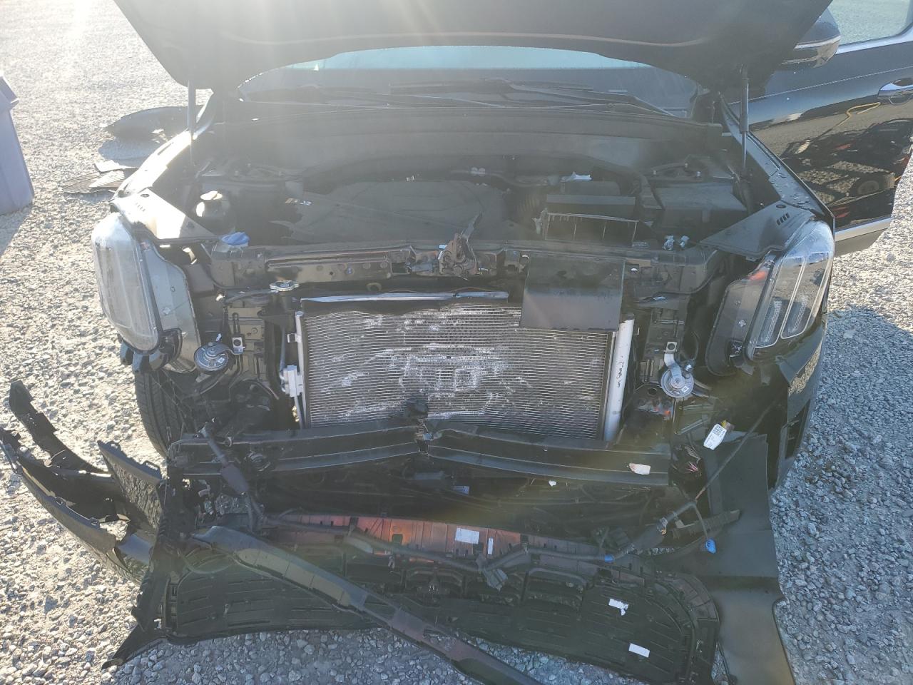 2024 Kia Telluride Sx VIN: 5XYP5DGCXRG495497 Lot: 80555405