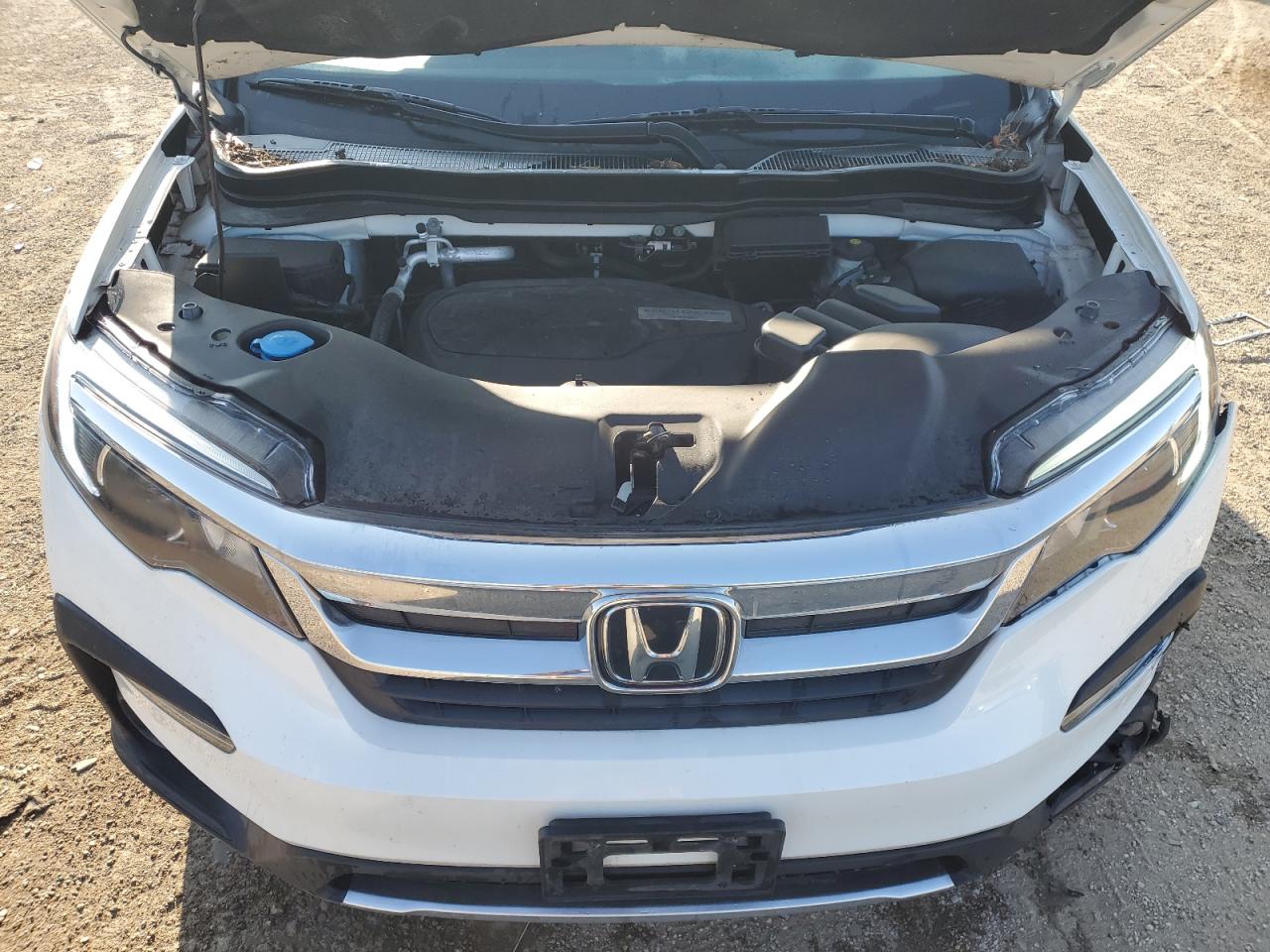2019 Honda Pilot Exl VIN: 5FNYF6H59KB083453 Lot: 71527195