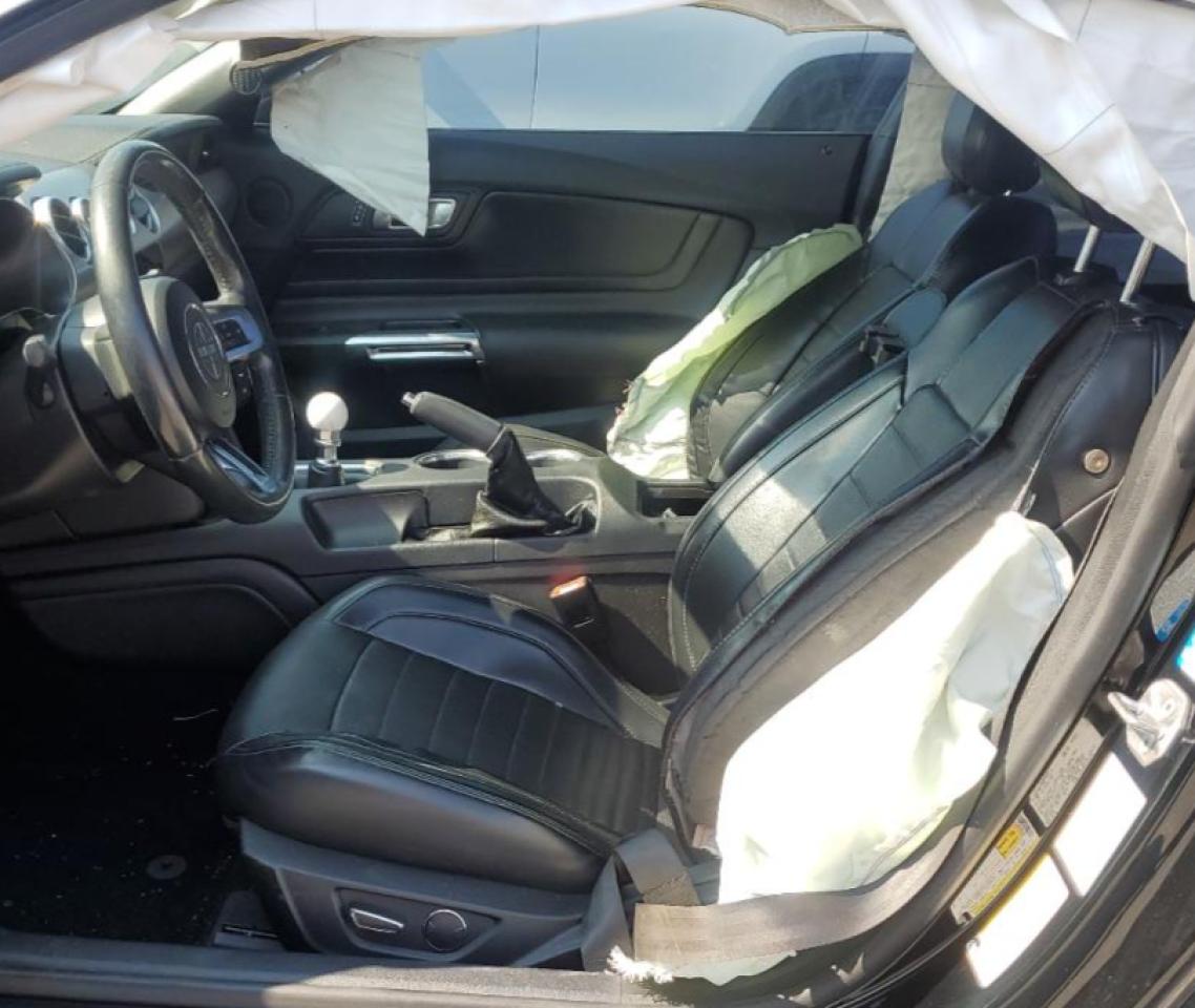 2019 Ford Mustang Bullitt VIN: 1FA6P8K00K5504772 Lot: 81032155