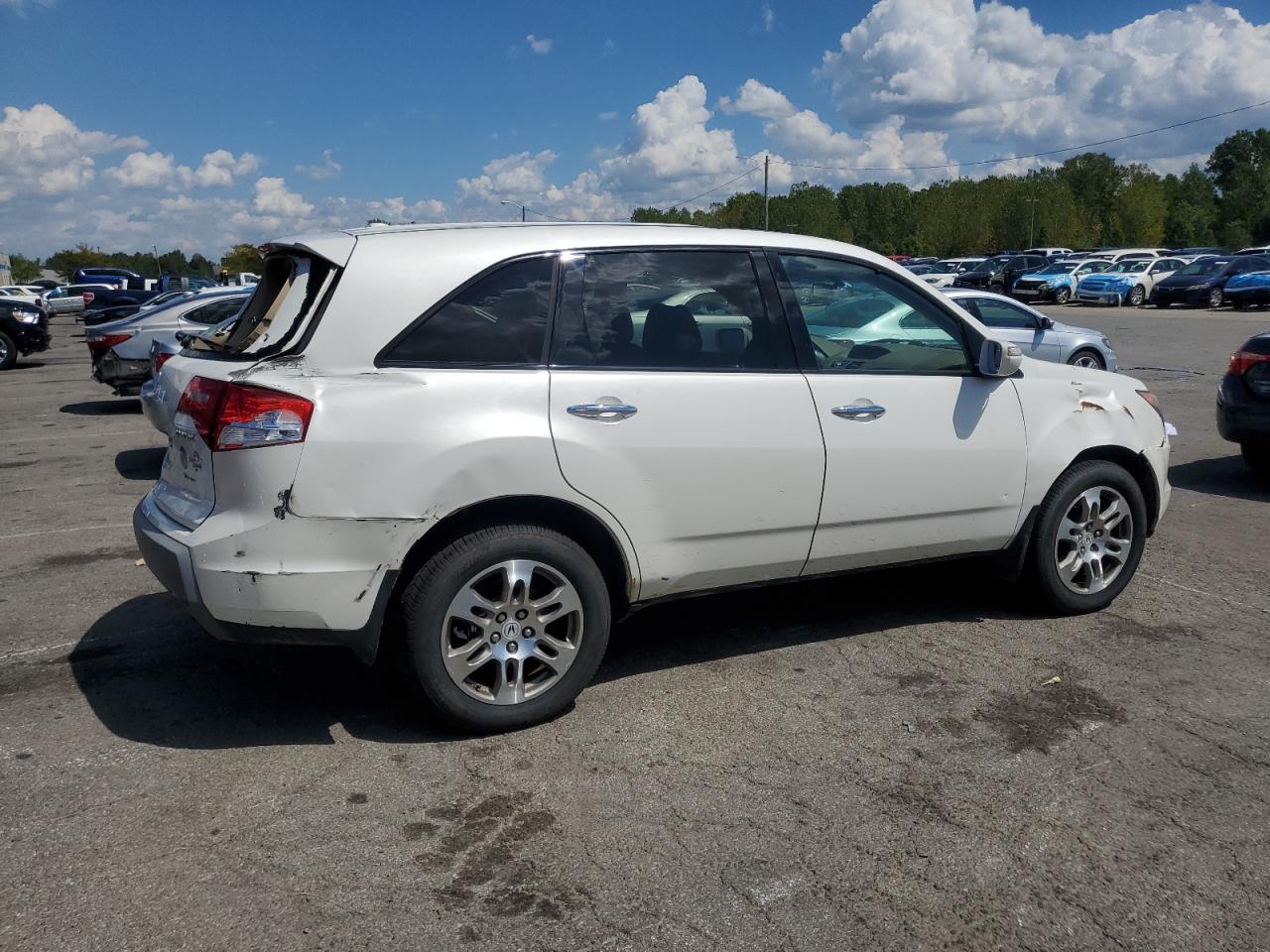 2009 Acura Mdx 2HNYD28229H513939 photo #4