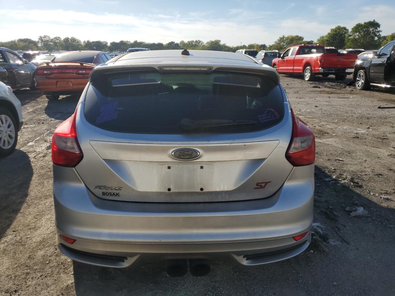 2014 Ford Focus St VIN: 1FADP3L91EL173613 Lot: 84241985