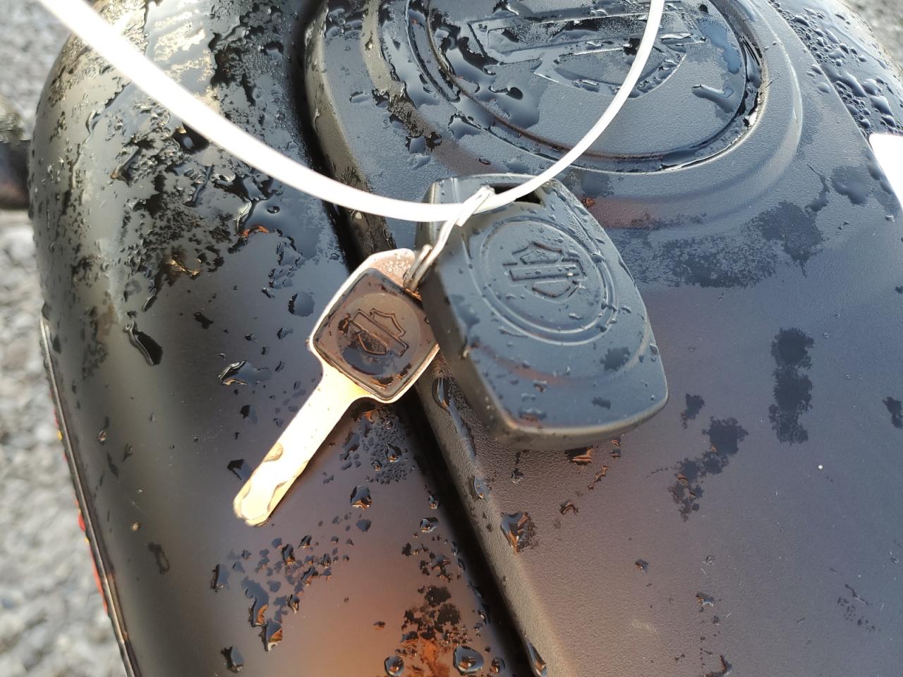 2025 Harley-Davidson Rh975 S VIN: MLY1ZF114SS300679 Lot: 81754165