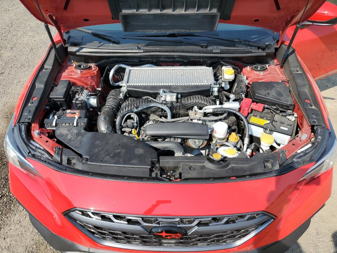 2022 Subaru Wrx Premium VIN: JF1VBAF69N9031175 Lot: 70338215