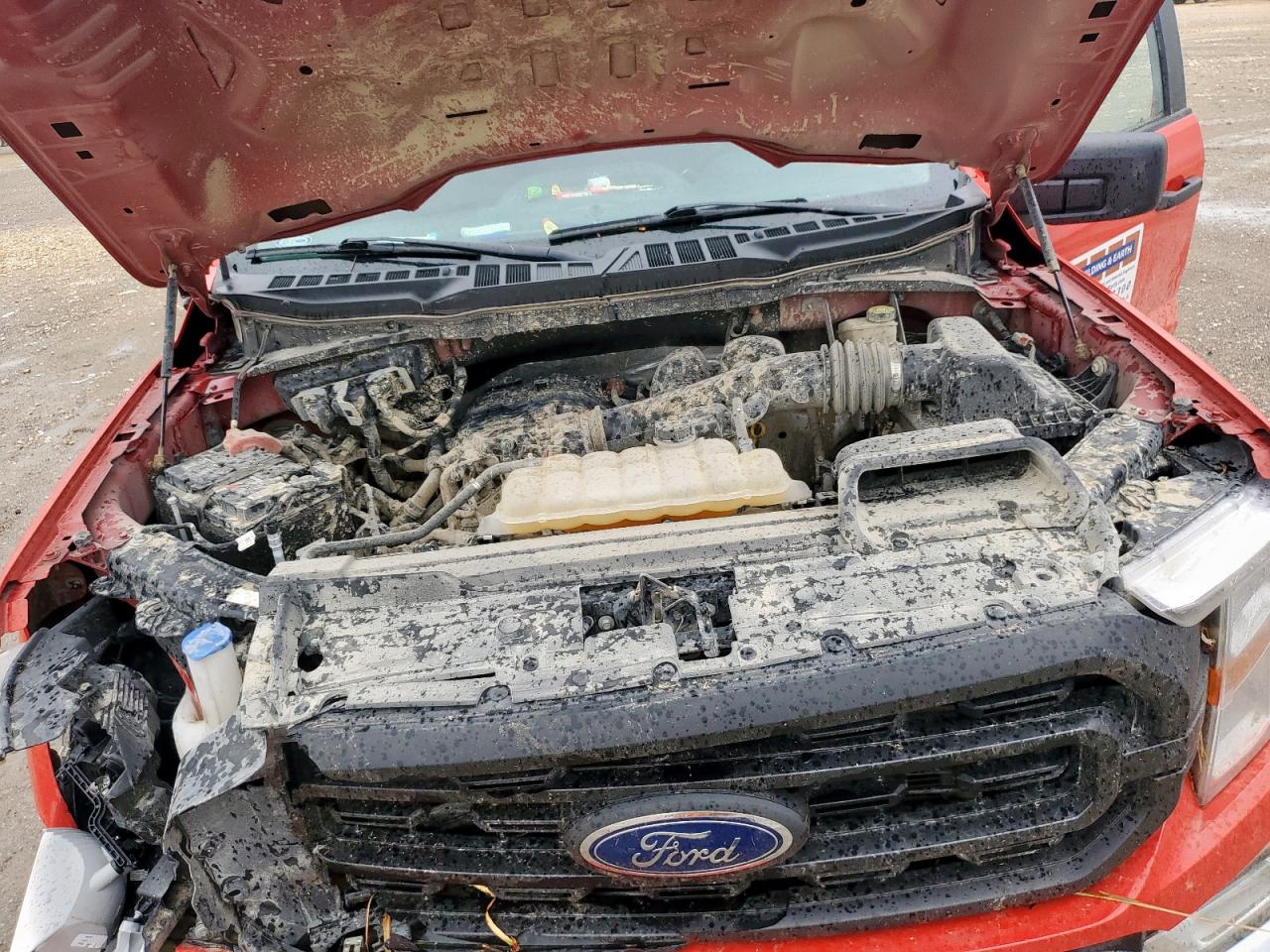 2022 Ford F150 VIN: 1FTMF1CB4NKE07186 Lot: 81270795