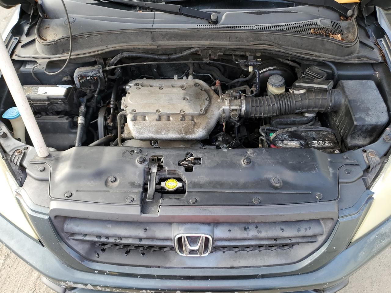 2005 Honda Pilot Exl VIN: 2HKYF18525H540242 Lot: 81488735