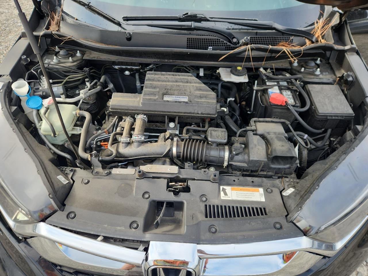 2019 Honda Cr-V Exl VIN: 7FARW1H89KE022710 Lot: 81821775