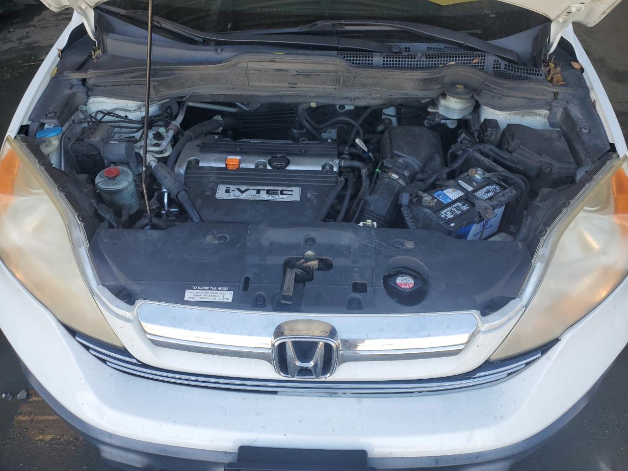 2007 Honda Cr-V Exl VIN: JHLRE48717C082155 Lot: 71287655