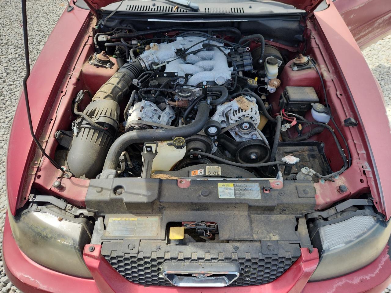 2003 Ford Mustang VIN: 1FAFP44403F3Y2606 Lot: 80785585