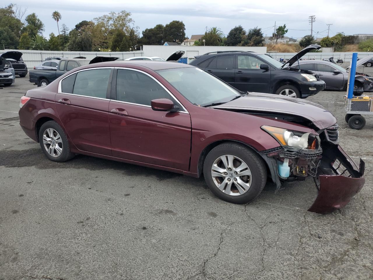 2009 Honda Accord Lxp VIN: 1HGCP26429A136301 Lot: 81917075