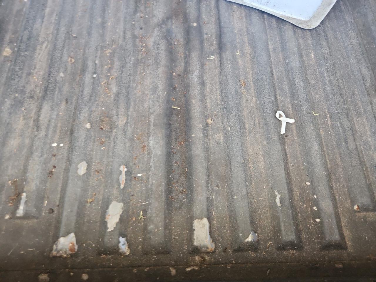 2011 Ford F250 Super Duty VIN: 1FT7W2AT9BEB71899 Lot: 72065565