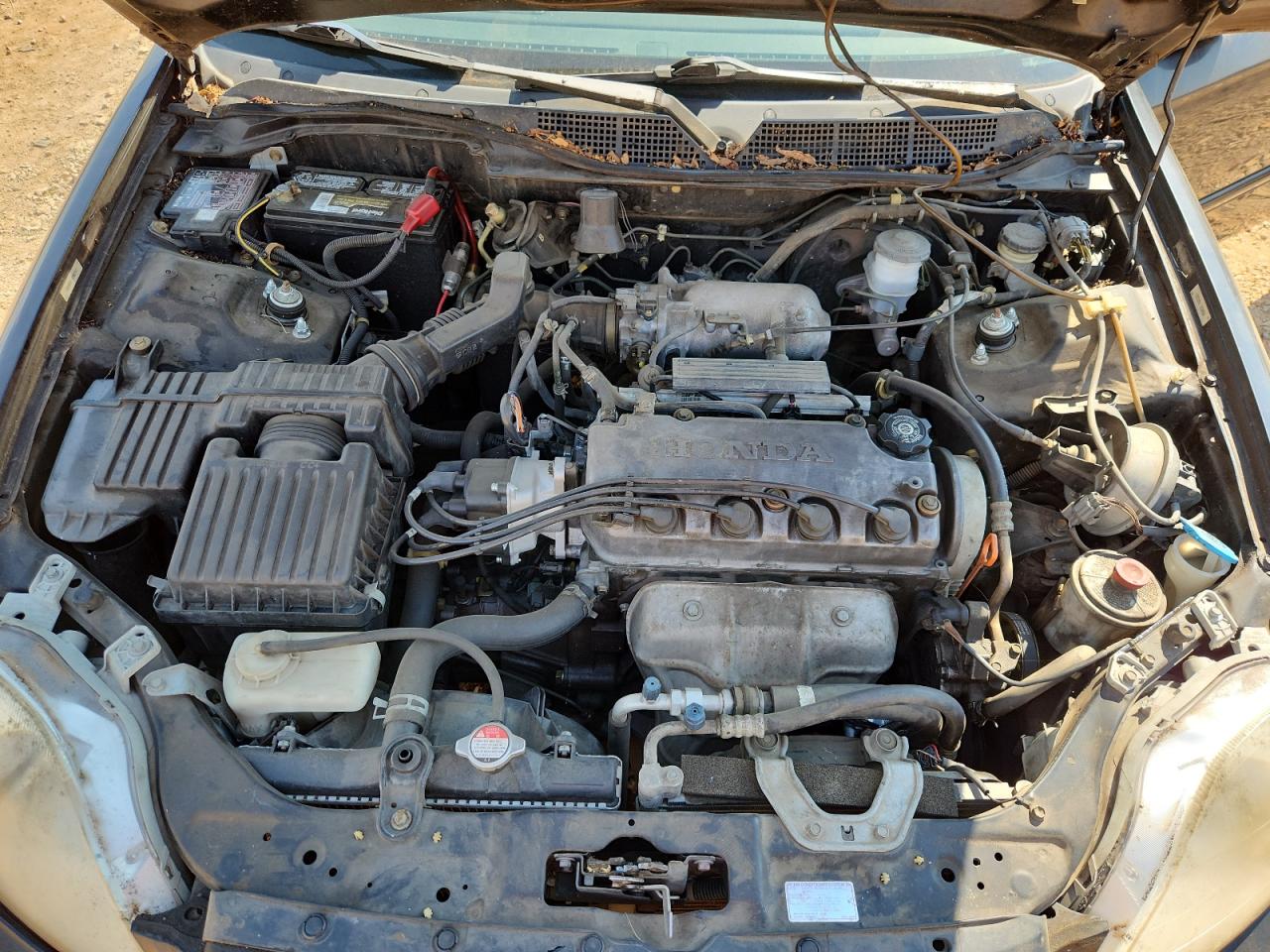 1999 Honda Civic Ex VIN: 1HGEJ8141XL019427 Lot: 80540705