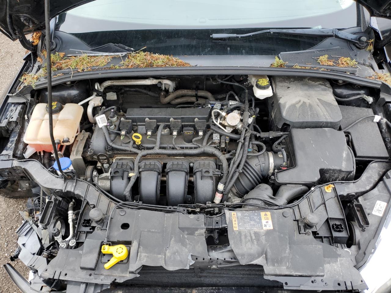 2018 Ford Focus Se VIN: 1FADP3K29JL305953 Lot: 81395095