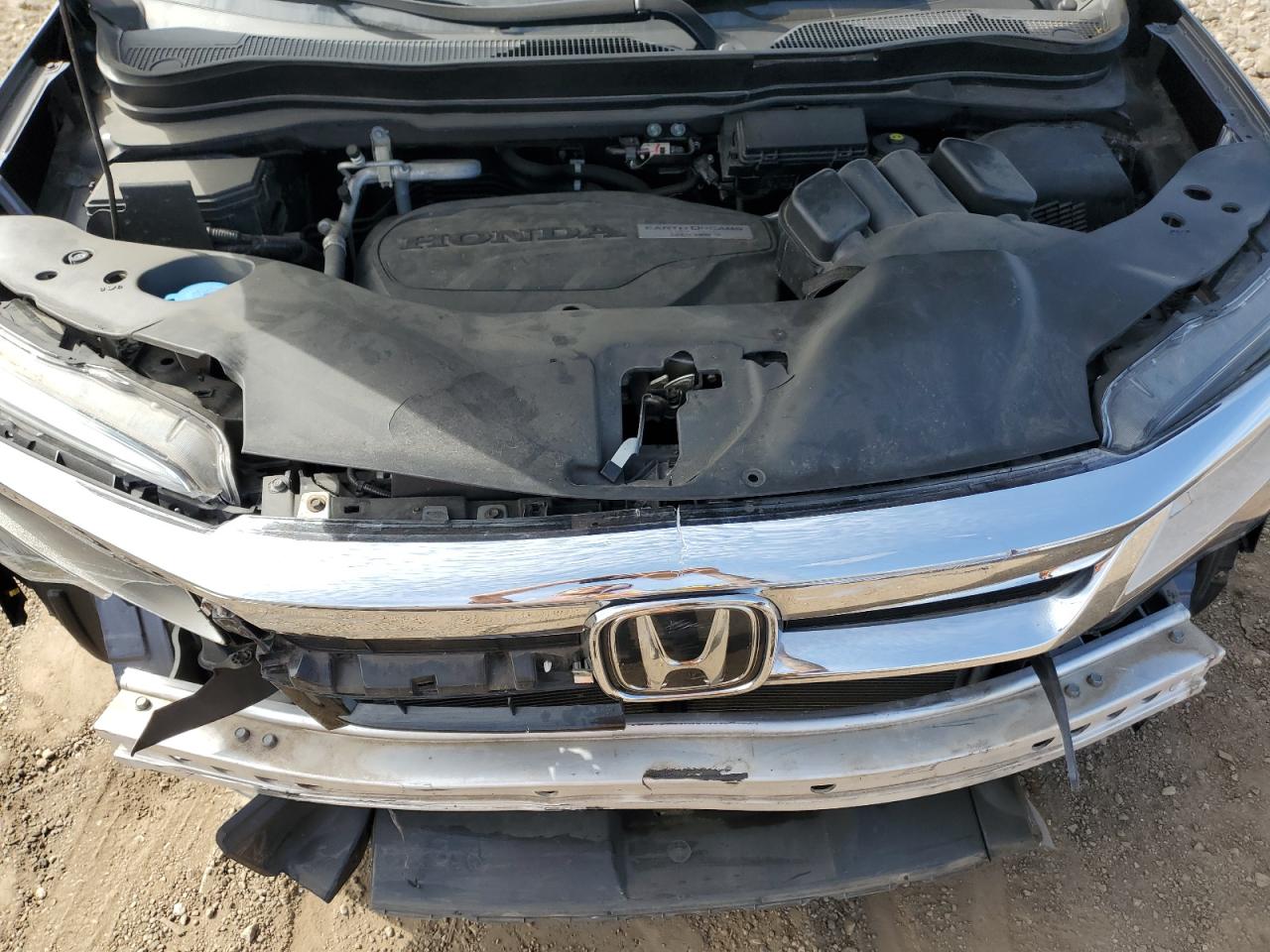 2019 Honda Pilot Elite VIN: 5FNYF6H0XKB069193 Lot: 80394795