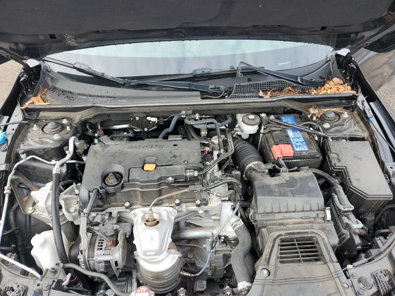 2024 Honda Civic Sport VIN: 2HGFE2F55RH551917 Lot: 83846525