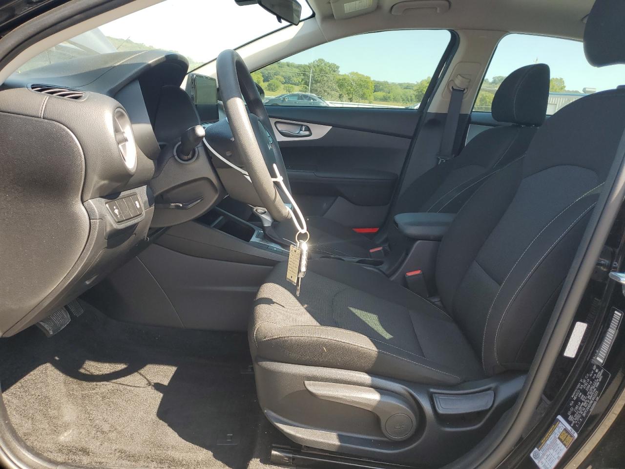 2022 Kia Forte Fe VIN: 3KPF24AD3NE462225 Lot: 81079485