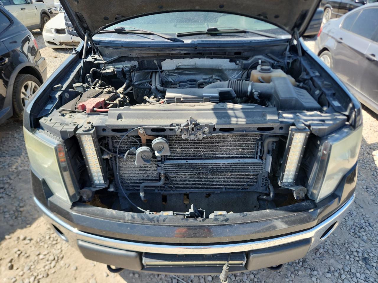 2011 Ford F150 Supercrew VIN: 1FTFW1EF2BFA02019 Lot: 71493015