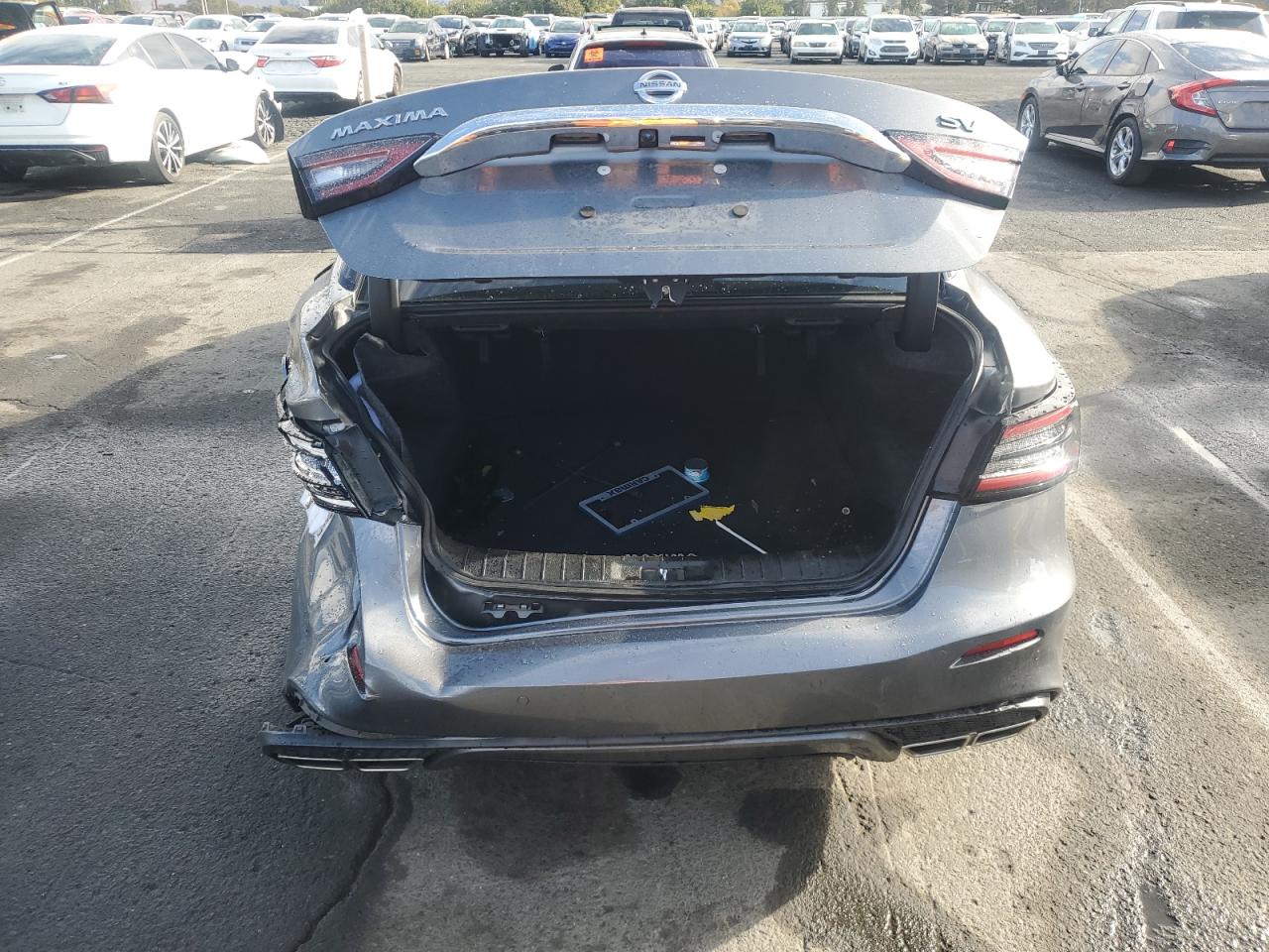 2021 Nissan Maxima Sv VIN: 1N4AA6CV6MC508544 Lot: 81932655