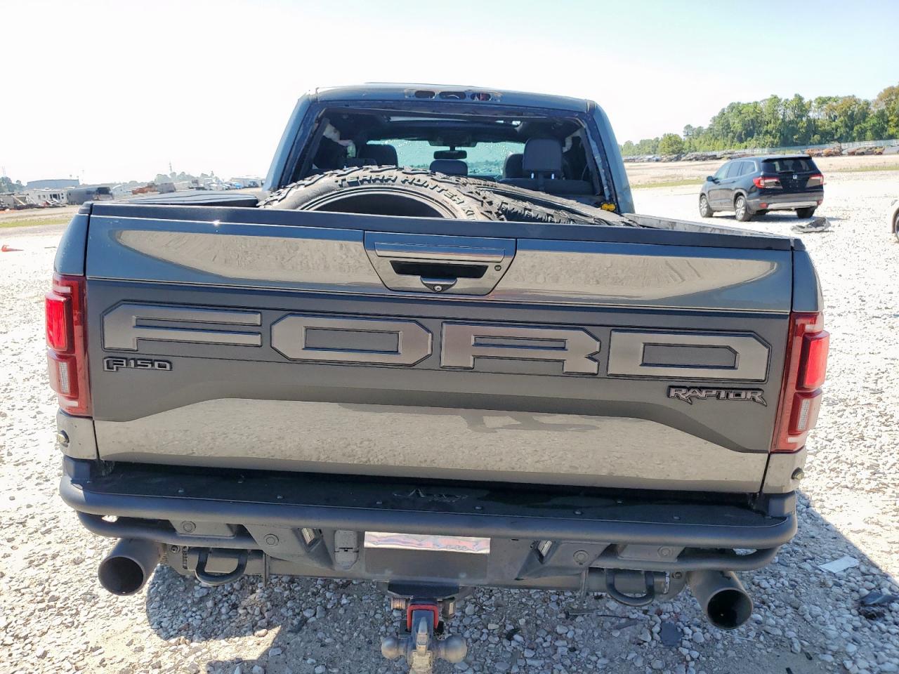 2020 Ford F150 Raptor VIN: 1FTFW1RG4LFC72891 Lot: 80271845