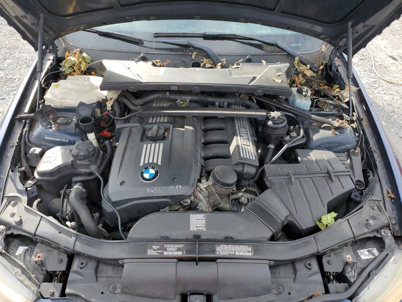 2011 BMW 328 Xi Sulev VIN: WBAPK5C55BF121892 Lot: 81859265