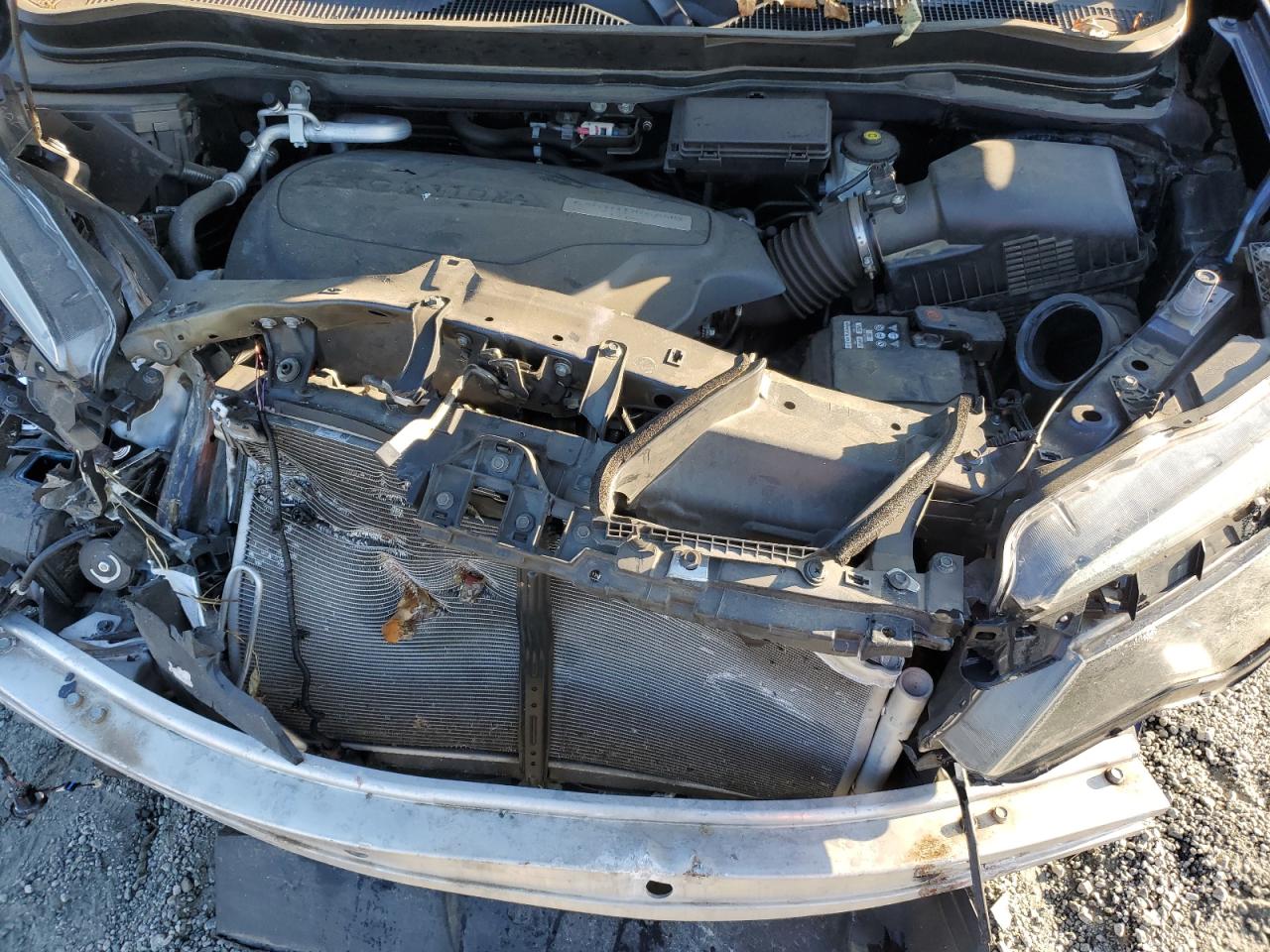 2020 Honda Pilot Exl VIN: 5FNYF5H56LB014747 Lot: 80185065