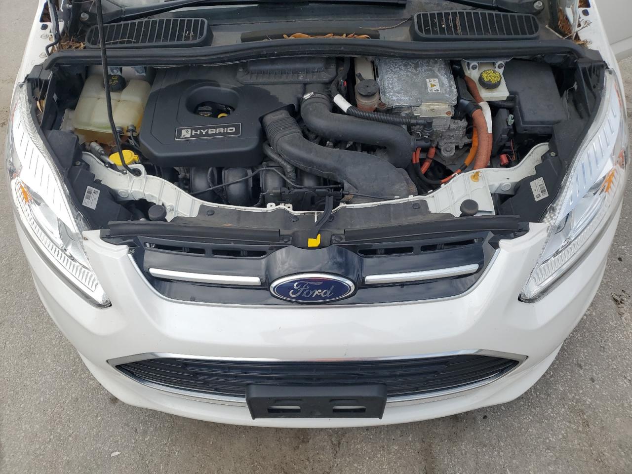 2017 Ford C-Max Se VIN: 1FADP5AU1HL116741 Lot: 81886675