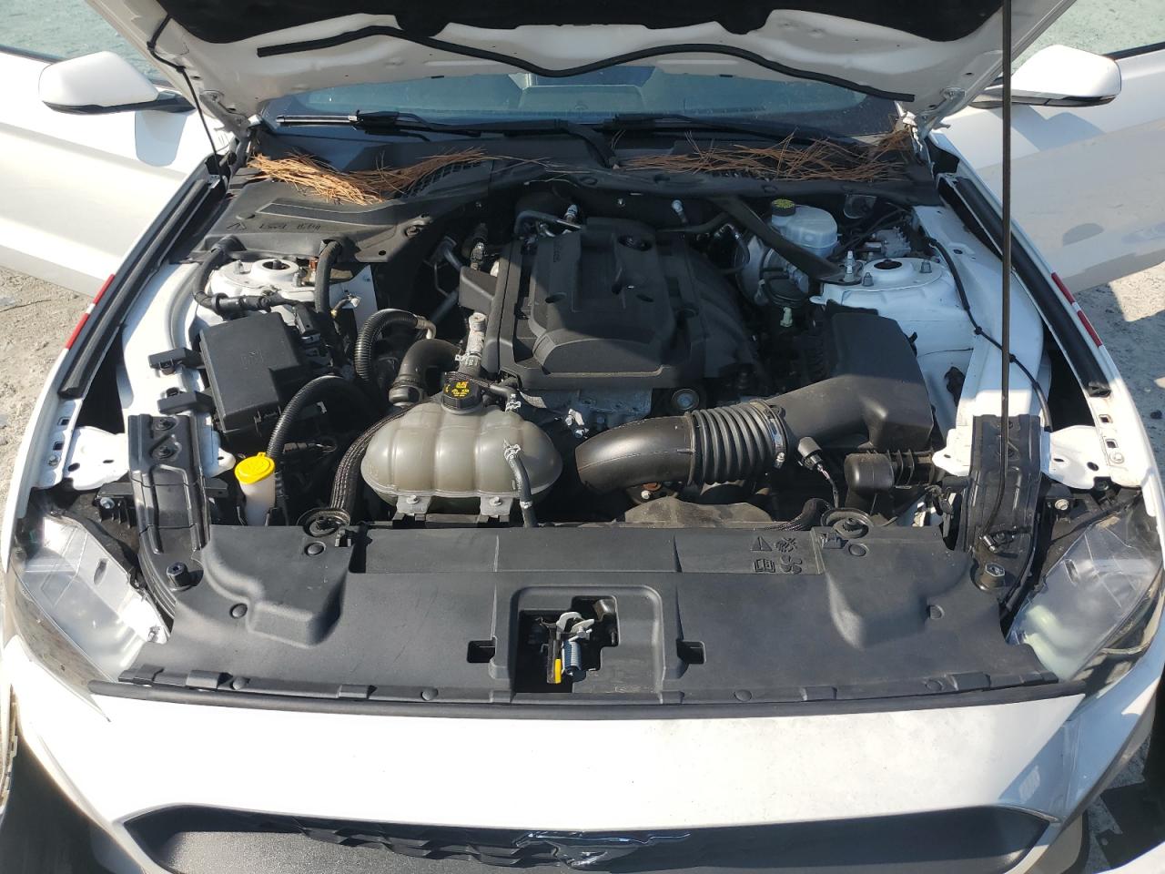 2018 Ford Mustang VIN: 1FATP8UHXJ5135438 Lot: 81615365