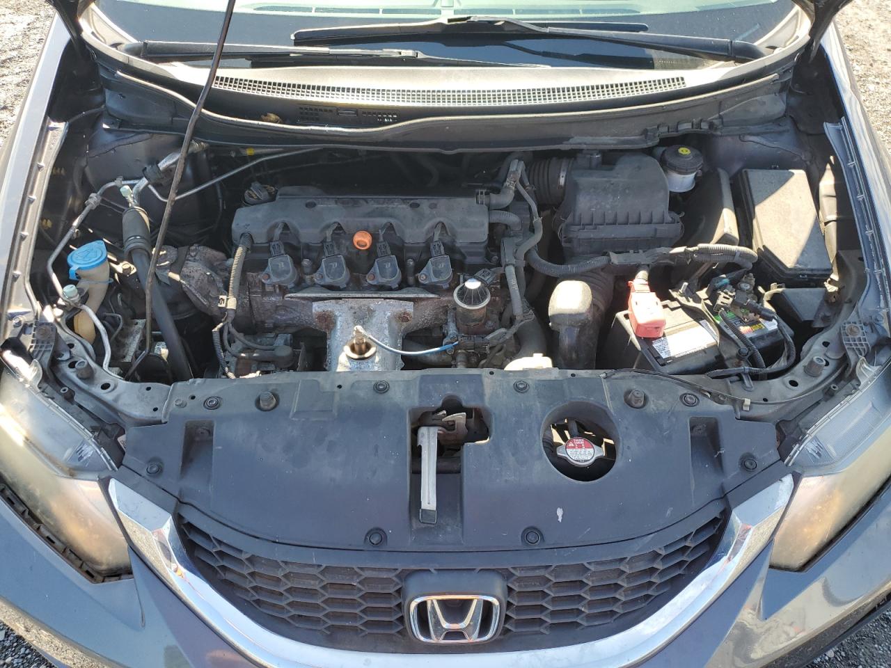 2014 Honda Civic Lx VIN: 19XFB2F50EE203164 Lot: 84170435