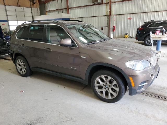  BMW X5 2013 Brown